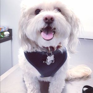 Meet your Posher, Diane